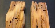 Способы обработки древесины для защиты от влаги и гниения